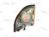 BLIC 5403-02-012101P Indicator